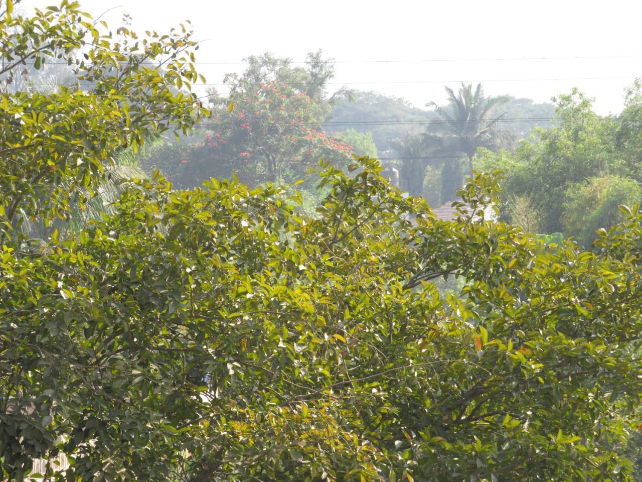 City Palace Resort Lonavala Buitenkant foto